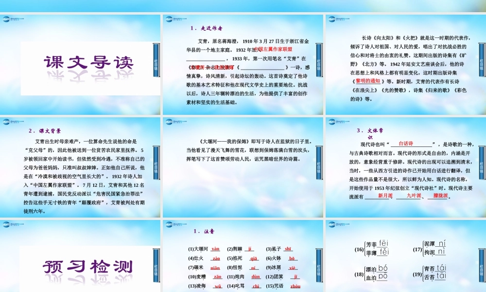 高中语文 大堰河 我的保姆课件 苏教版必修1 课件