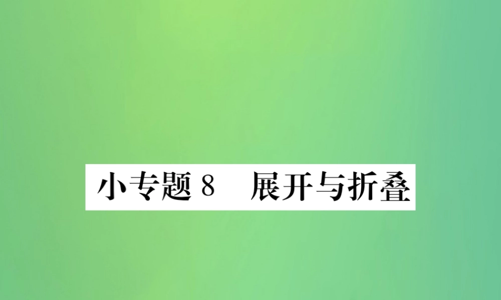 秋七年级数学上册 小专卷8 展开与折叠课件 (新版)华东师大版 课件