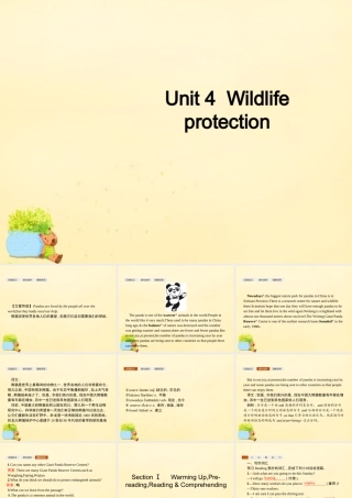高中英语 Unit 4 Wildlife protection Section Ⅰ Warming Up,Pre reading,Reading  Comprehending课件 新人教版必修2 课件