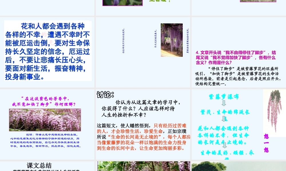 (部编)初中语文人教2011课标版七年级下册紫藤萝瀑布-第三课时
