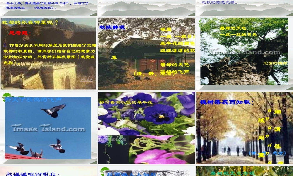 高中语文(故都的秋)实用课件 新人教版必修2 课件