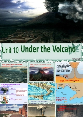 高二英语Unit10 reading 课件