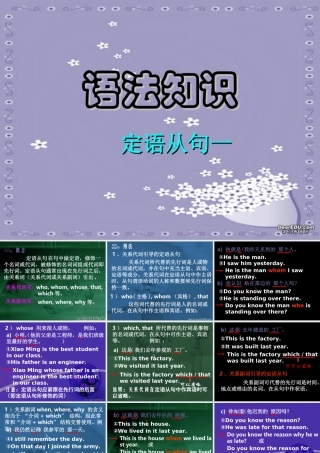 高考英语语法系列复习 定语从句一 新课标 人教版 试题