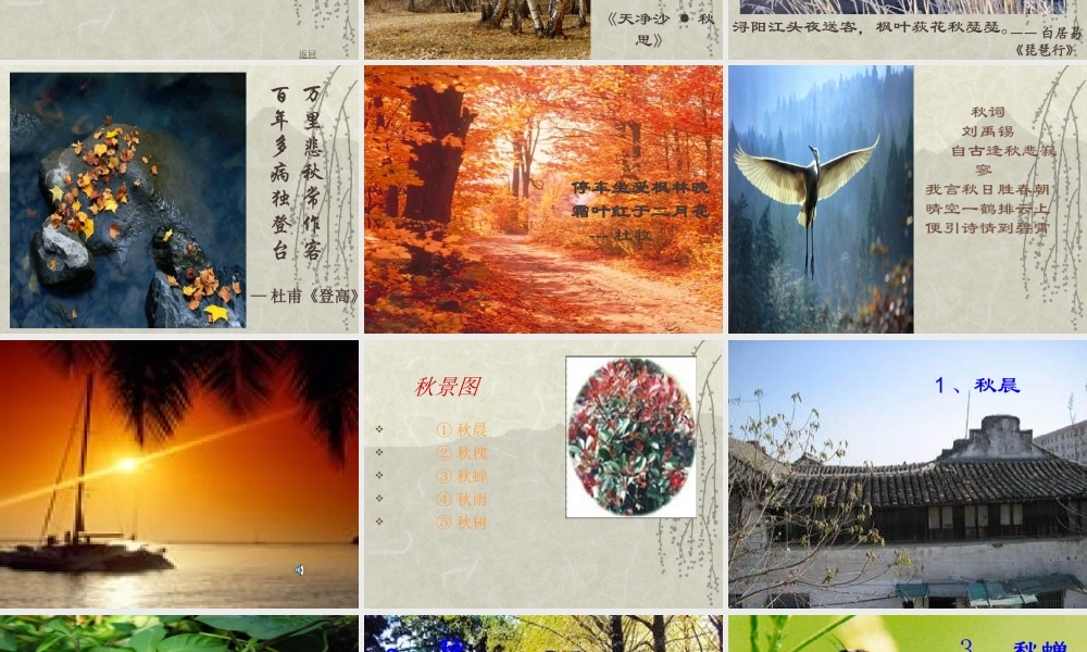 高中语文(古都的秋)课件新人教版 课件