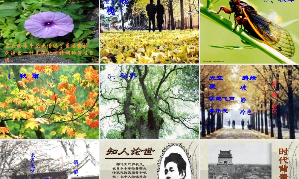 高中语文(古都的秋)课件新人教版 课件