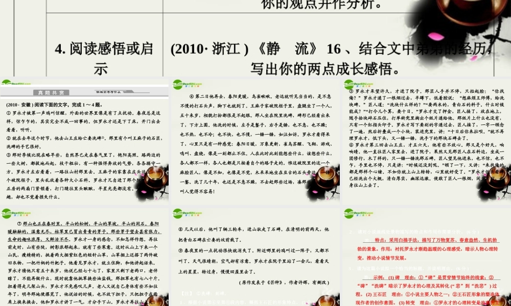 高考语文二轮复习考点突破第一篇 啃下高三备考的硬骨头 三、小说阅读 第四节 探究类考题破解课件