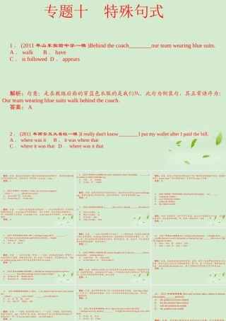 陕西省高三英语 单项填空复习 专题10 特殊句式课件