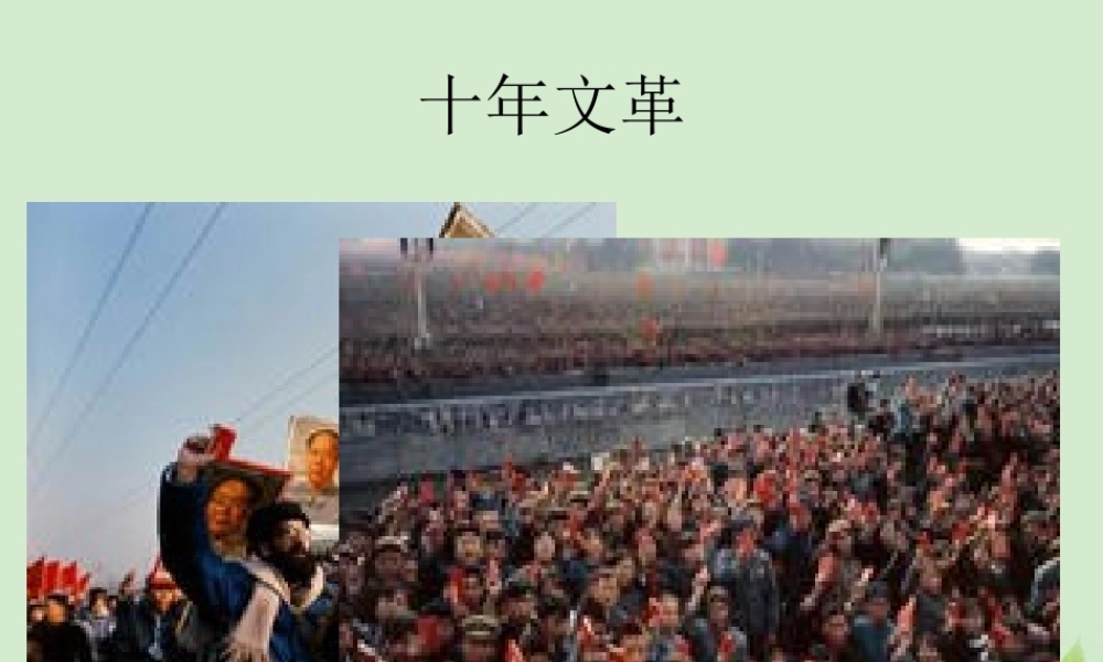 高中语文(小狗包弟)课件 新人教版必修1 课件