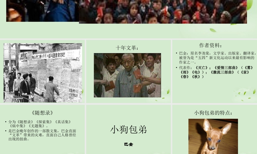 高中语文(小狗包弟)课件 新人教版必修1 课件