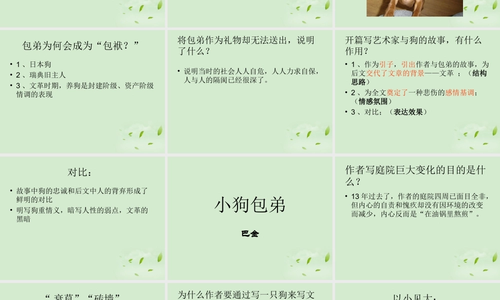 高中语文(小狗包弟)课件 新人教版必修1 课件