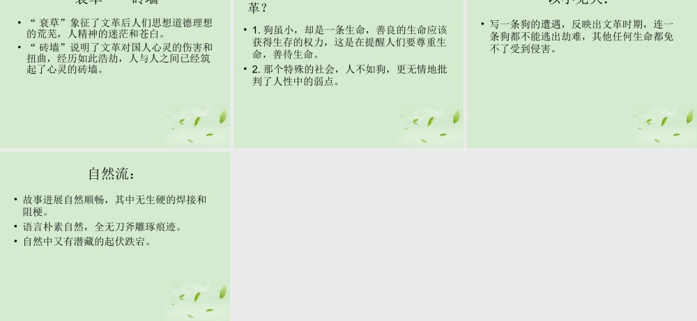 高中语文(小狗包弟)课件 新人教版必修1 课件