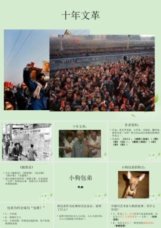 高中语文(小狗包弟)课件 新人教版必修1 课件