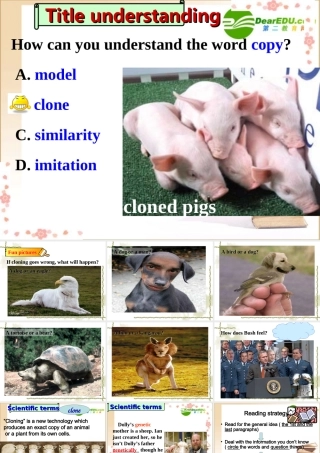 高中英语 M5U3 Reading课件 牛津版必修5 课件