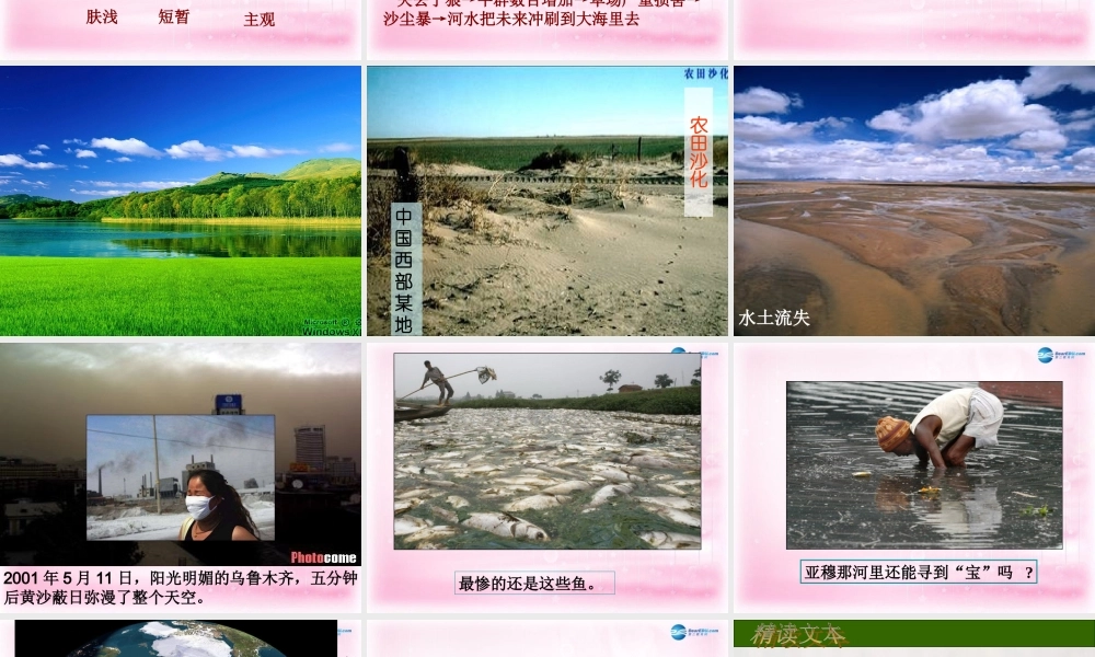 高中语文 第四专题 像山那样思考课件 苏教版必修2 课件