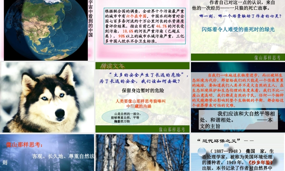 高中语文 第四专题 像山那样思考课件 苏教版必修2 课件