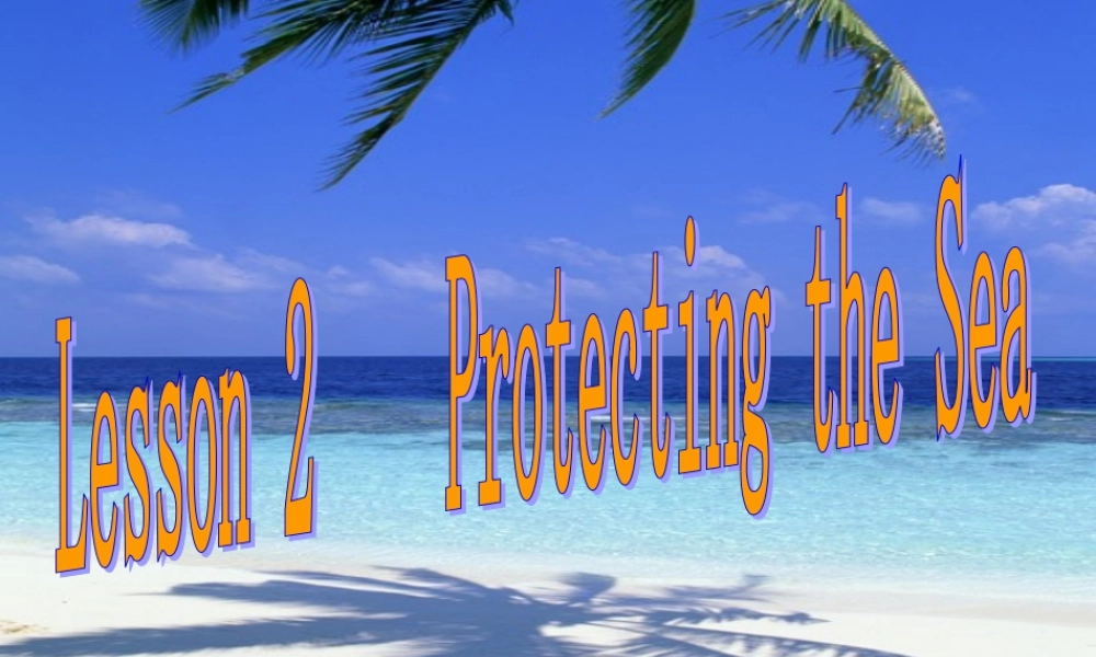 高中英语Unit 7 The Sea-Lesson 2 Protecting the Sea课件 北师大版 必修3 课件