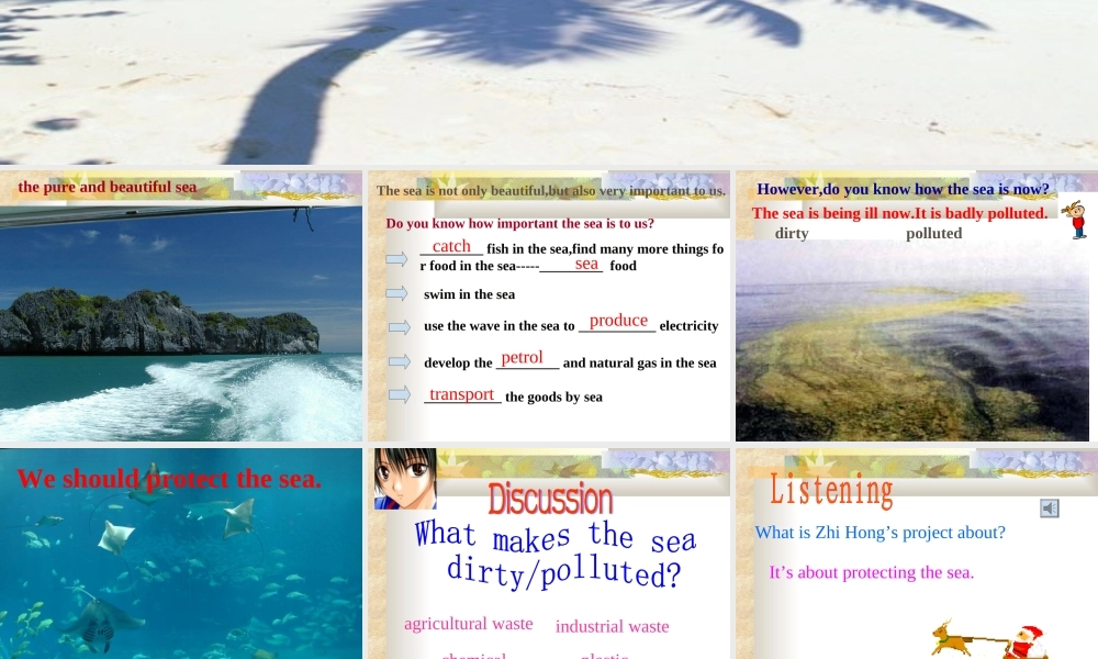 高中英语Unit 7 The Sea-Lesson 2 Protecting the Sea课件 北师大版 必修3 课件