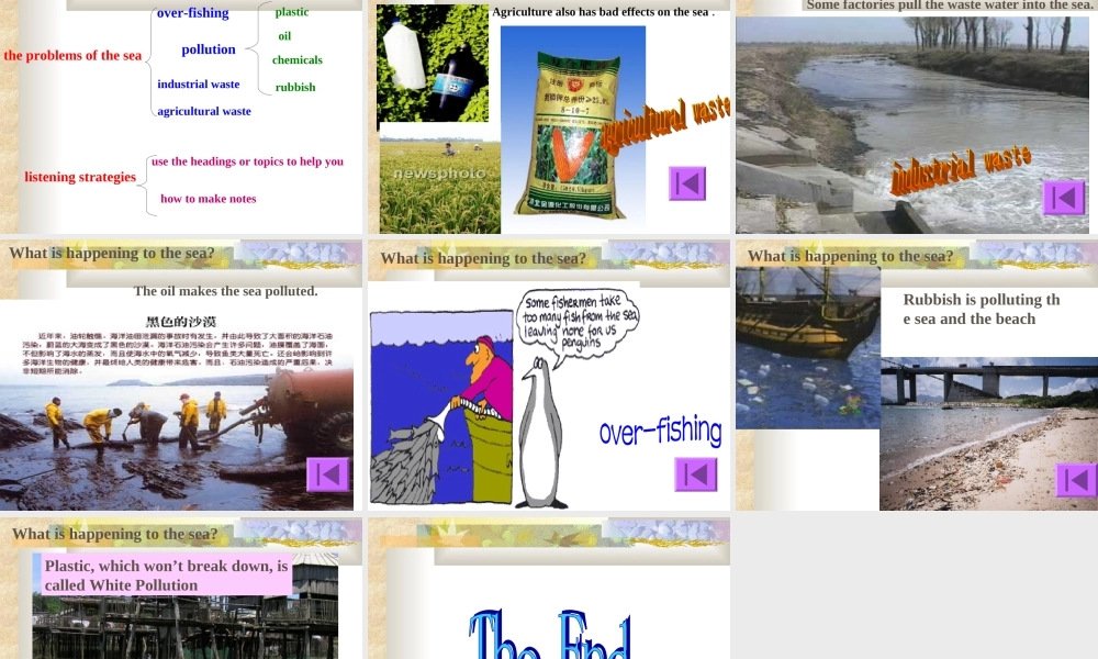 高中英语Unit 7 The Sea-Lesson 2 Protecting the Sea课件 北师大版 必修3 课件