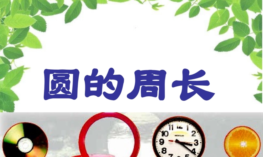 圆的周长6---磨玲玉ppt