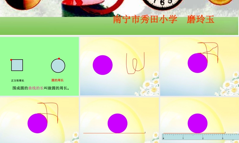 圆的周长6---磨玲玉ppt