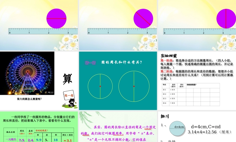 圆的周长6---磨玲玉ppt