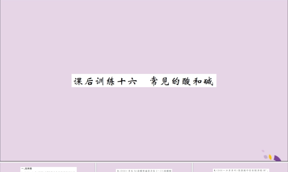 湖北省中考化学一轮复习 课后训练十六 常见的酸和碱习题课件