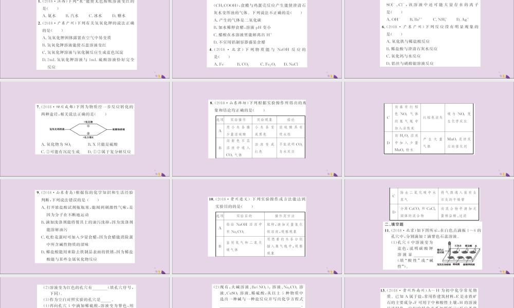 湖北省中考化学一轮复习 课后训练十六 常见的酸和碱习题课件