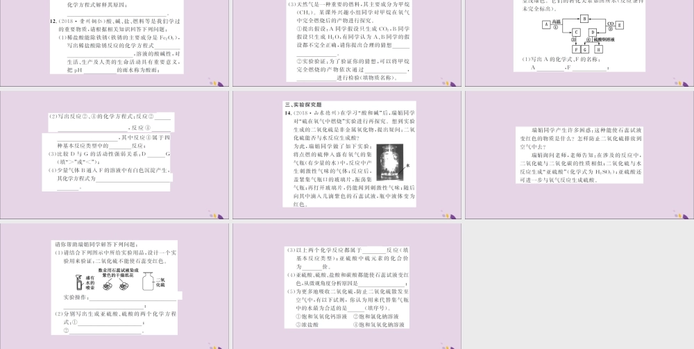 湖北省中考化学一轮复习 课后训练十六 常见的酸和碱习题课件