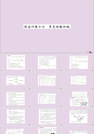 湖北省中考化学一轮复习 课后训练十六 常见的酸和碱习题课件
