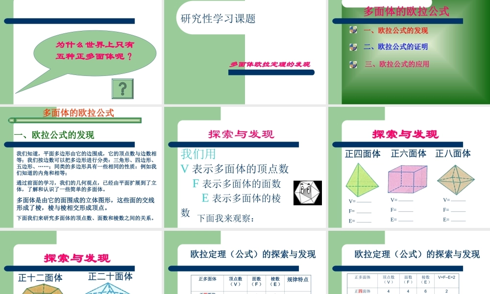 河北省定州地区高二数学欧拉定理讲解资料 课件
