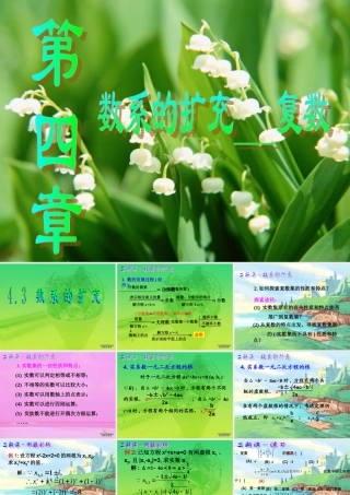 高三数学数系的扩充 新课标 人教版 课件