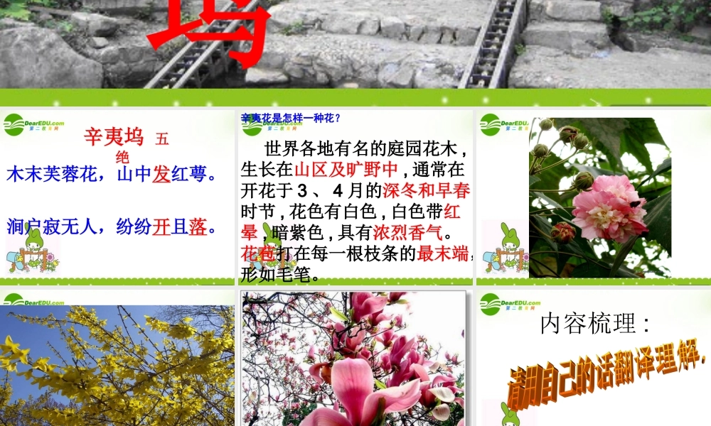 高中语文 112(辛夷坞)课件 粤教版选修(唐诗宋词元散曲选读) 课件