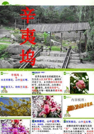 高中语文 112(辛夷坞)课件 粤教版选修(唐诗宋词元散曲选读) 课件