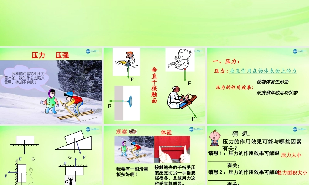 河北省石家庄市八年级物理下册 第九章 第1节 压强课件 (新版)新人教版 课件