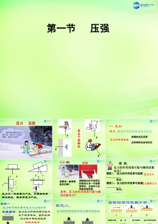 河北省石家庄市八年级物理下册 第九章 第1节 压强课件 (新版)新人教版 课件