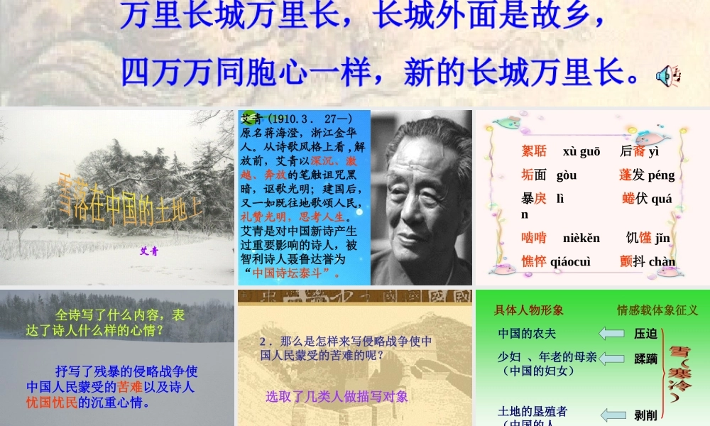 高中语文(雪落在中国的土地上)课件 粤教版必修2 课件