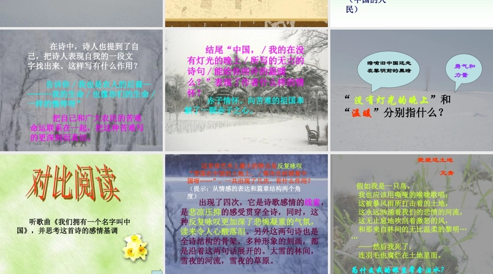 高中语文(雪落在中国的土地上)课件 粤教版必修2 课件