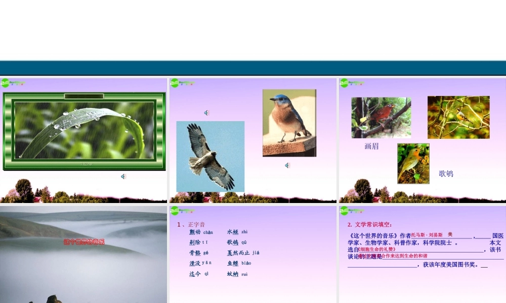 高中语文(这个世界的音乐)课件4 北京版必修2 课件