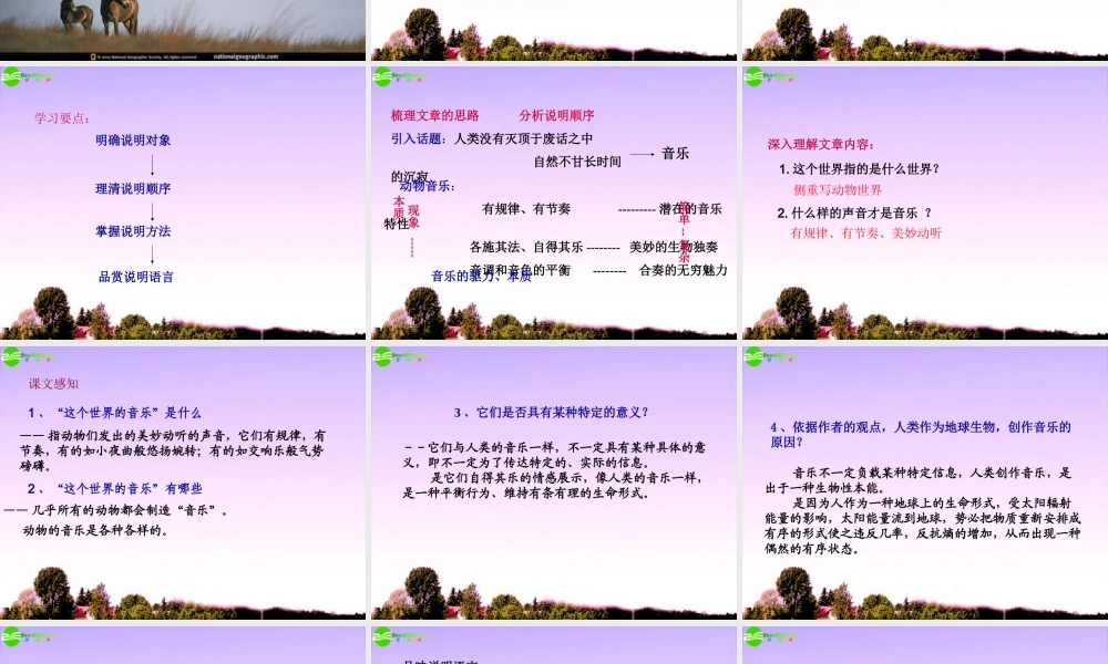 高中语文(这个世界的音乐)课件4 北京版必修2 课件