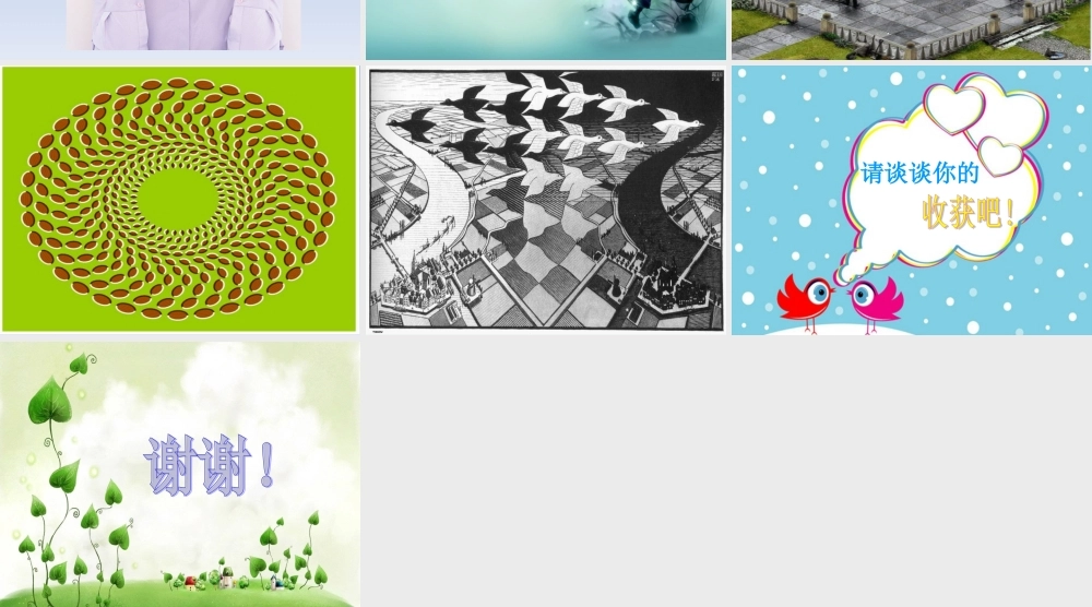 《5-光线与视觉》课件2