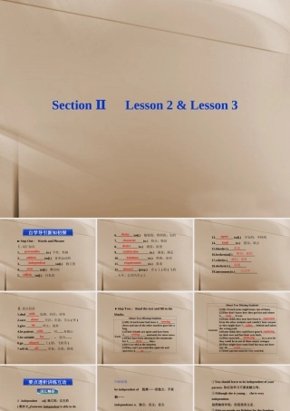 高中英语 Unit13 Section Ⅱ Lesson 2 & Lesson3精品课件 北师大版必修5 课件