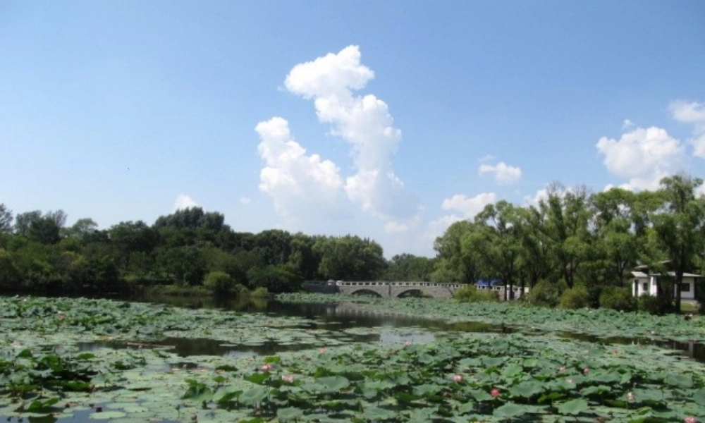 版)解读课件 人教新课标版 课件