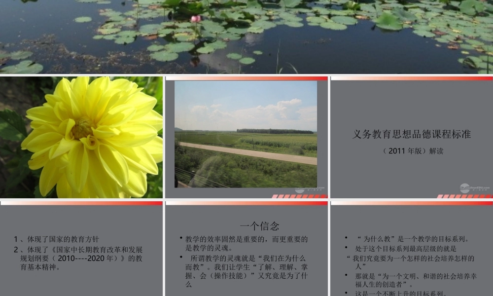 版)解读课件 人教新课标版 课件