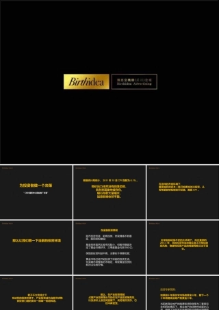 博思堂2011年驻马店CBD国贸中心商业推广方案