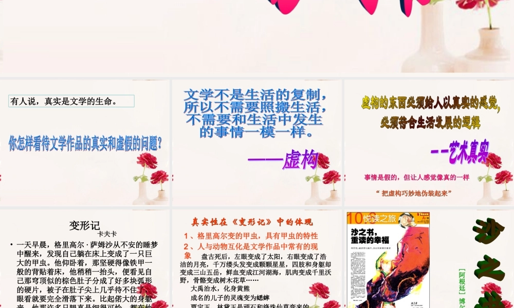 高中语文(沙之书)课件4新人教版选修 课件