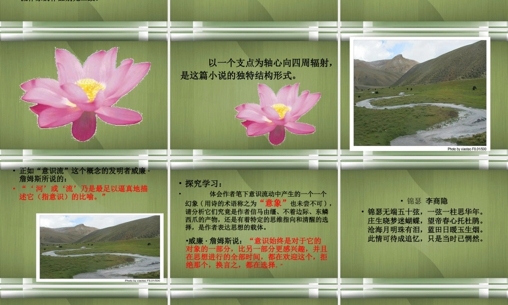 高中语文(墙上的斑点)课件4 新人教版选修 课件