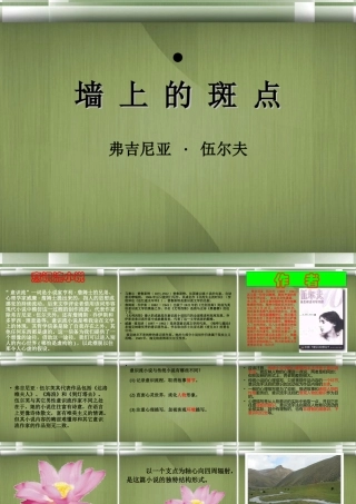 高中语文(墙上的斑点)课件4 新人教版选修 课件