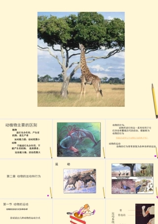 江西省萍乡四中八年级生物上册 第五单元动物的运动课件