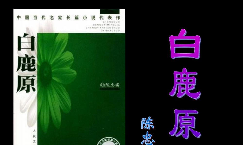 高中语文(白鹿原)课件 新人教版选修中国小说欣赏 课件