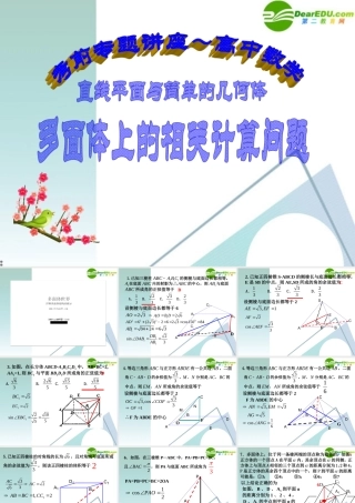 高考数学 考前复习 直线平面简单几何体问题的知识点导学02－多面体上的相关计算问题课件 新人教A版 课件